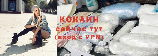 мет Инта