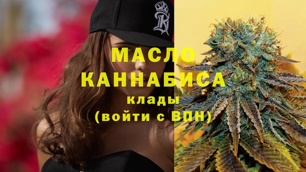 мет Инта