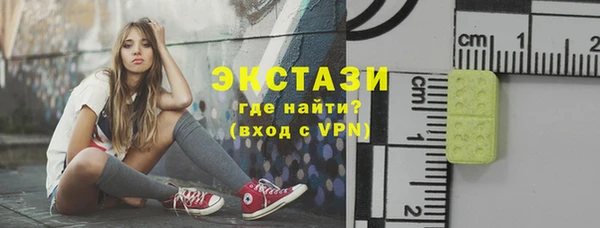 мет Инта