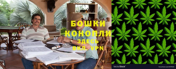 мет Инта