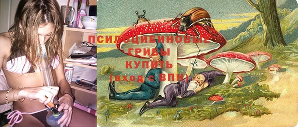 мет Инта