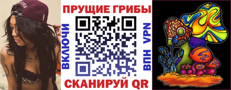Купить закладки  Невель  Галлюциногенные грибы Cubensis 